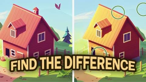 Find Differences